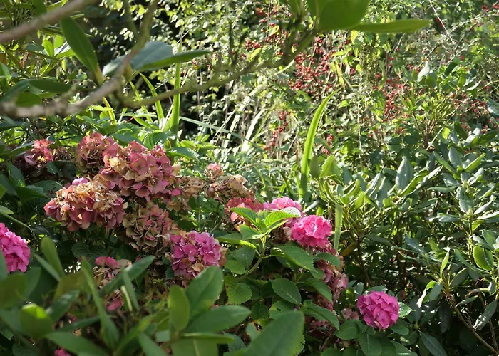 Feriehus Olendeel Gelting